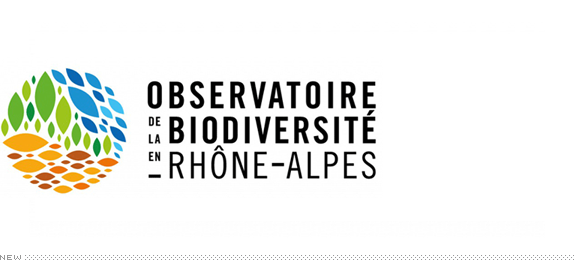 Biodiversity Observatory Logo, Before and After