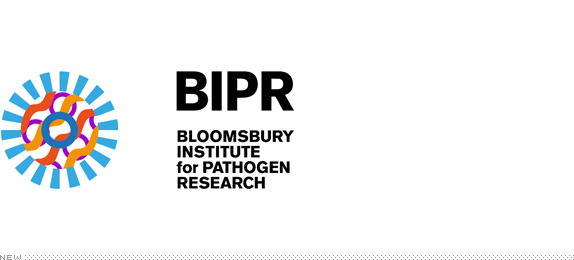 BIPR Logo, Before and After