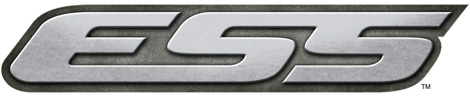 ESS Logo, Detail