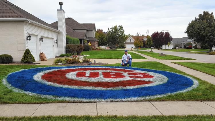 Cubs on a Lawn