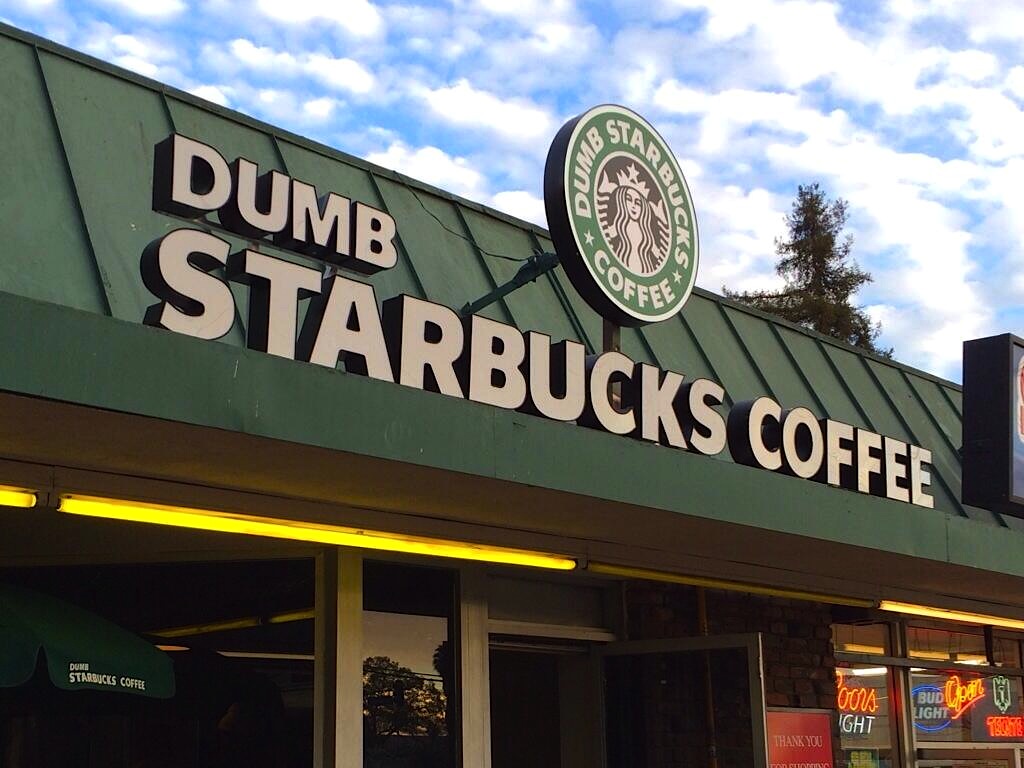 Brand New Dumb Starbucks