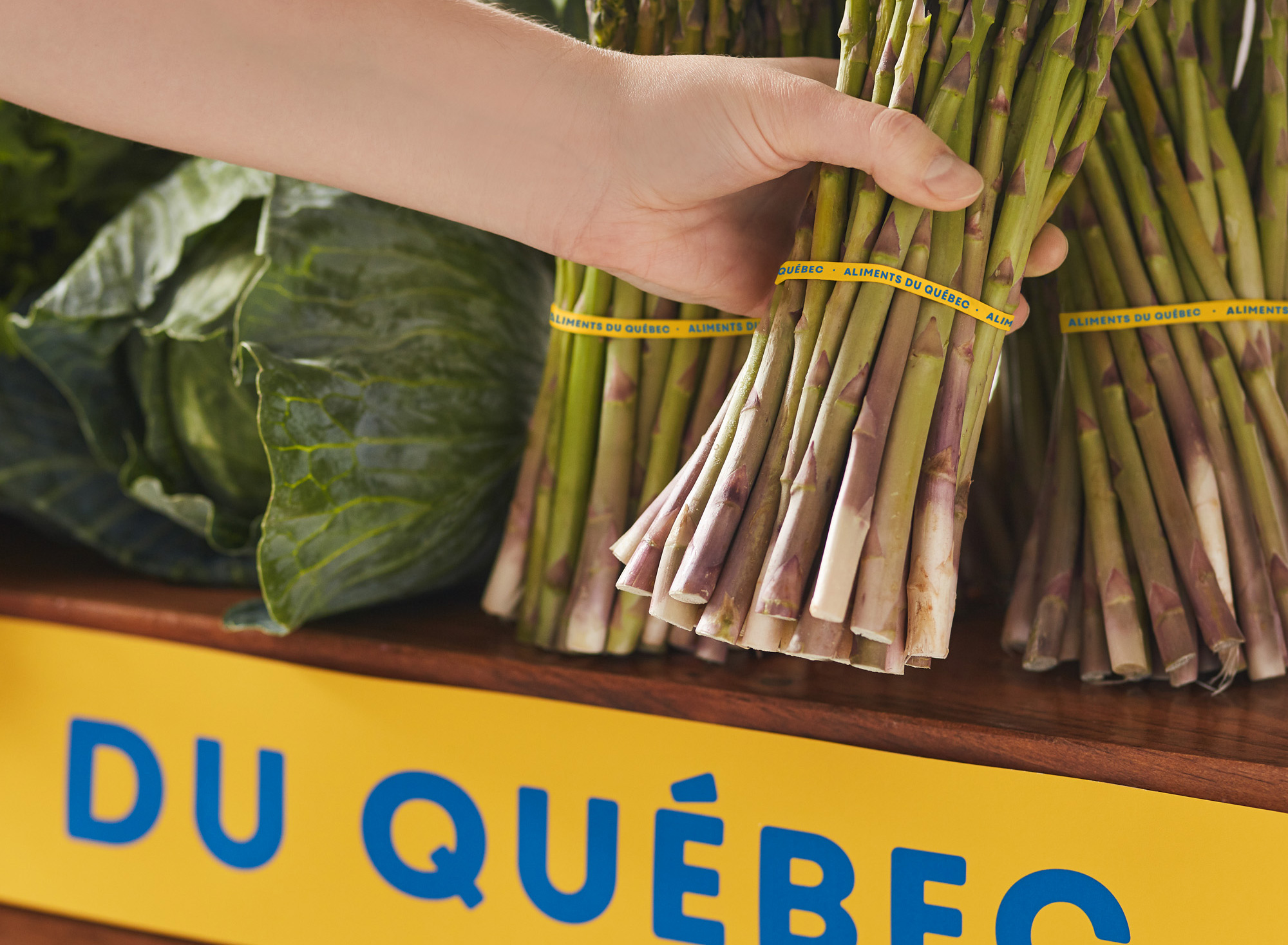 New Logo and Identity for Aliments du Québec by lg2