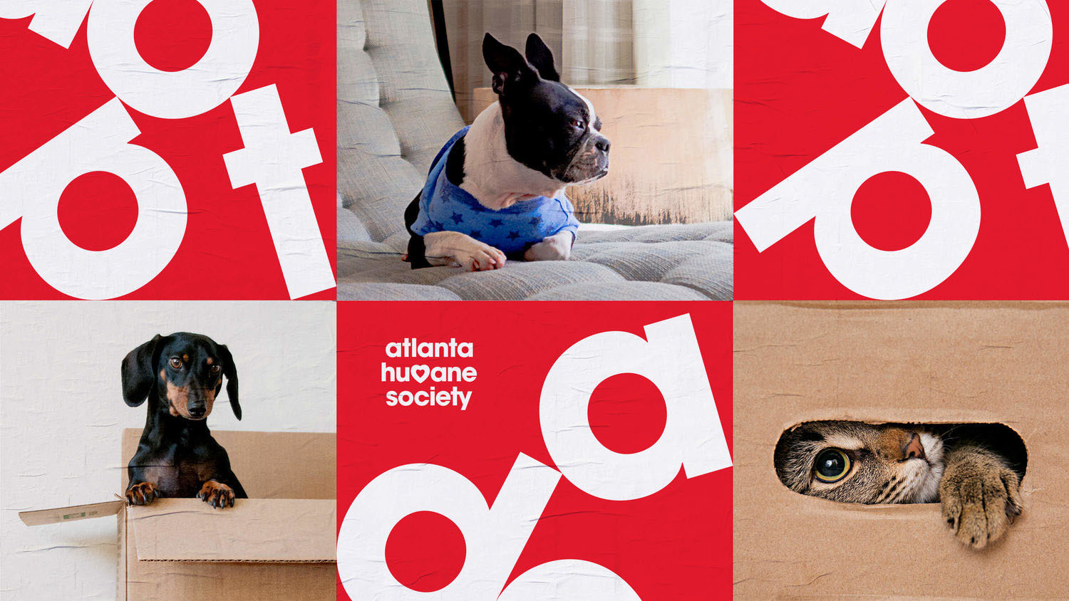 New Logo and Identity for Atlanta Humane Society by Matchstic