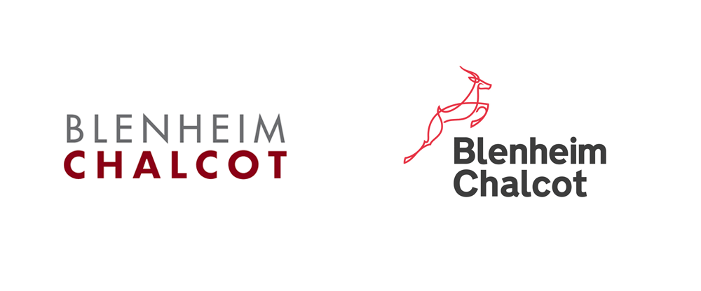 New Logo for Blenheim Chalcot by Accelerate Digital