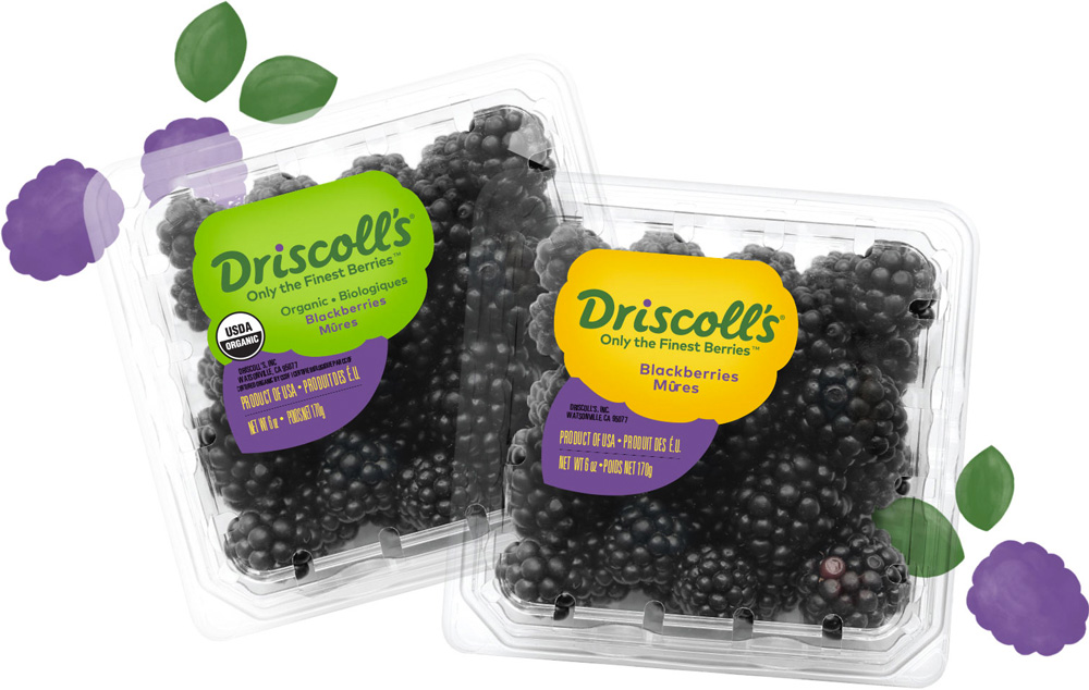Brand New: New Logo and Packaging for Driscoll's by Pearlfisher