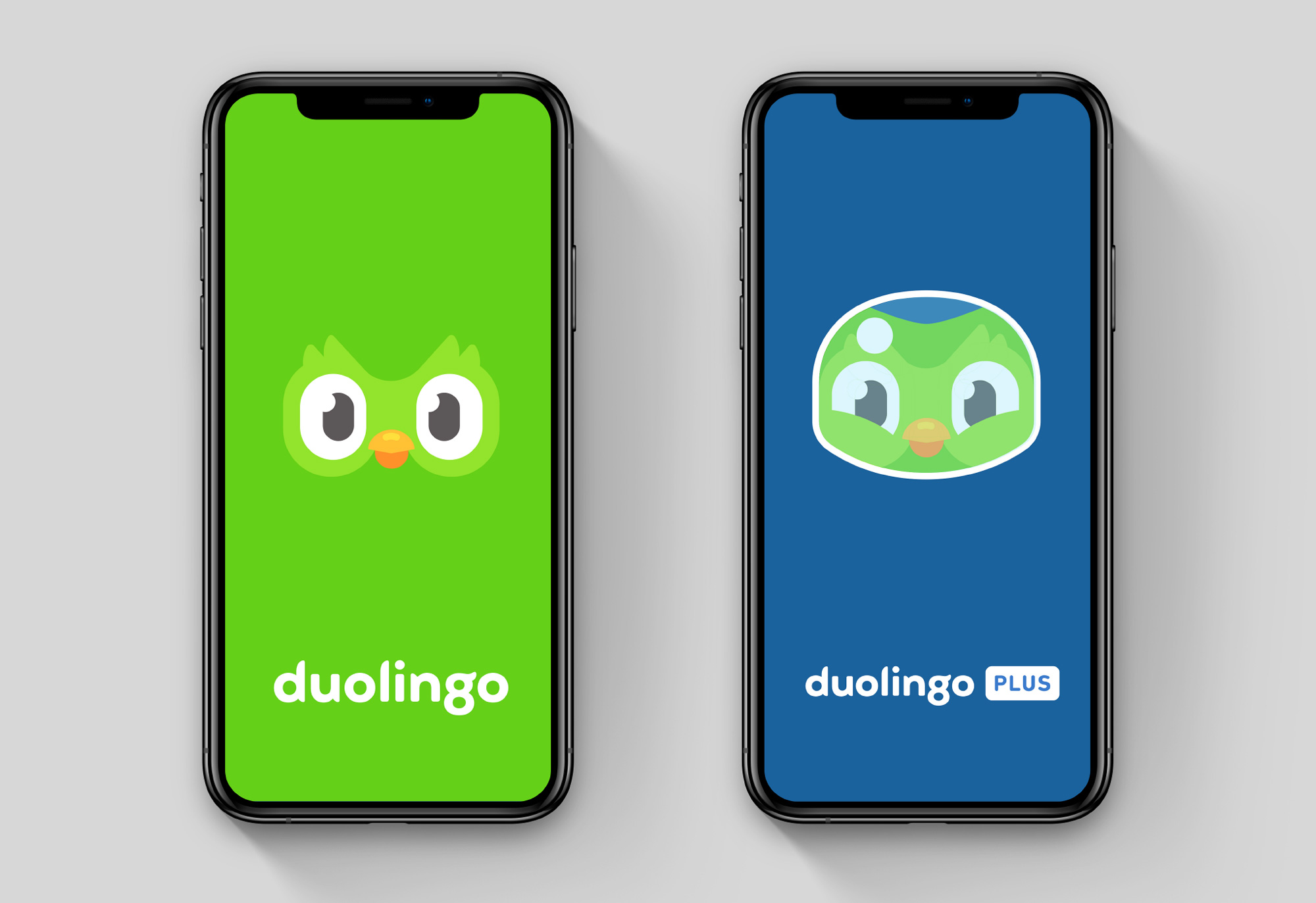 New Wordmark and Identity for Duolingo by Johnson Banks