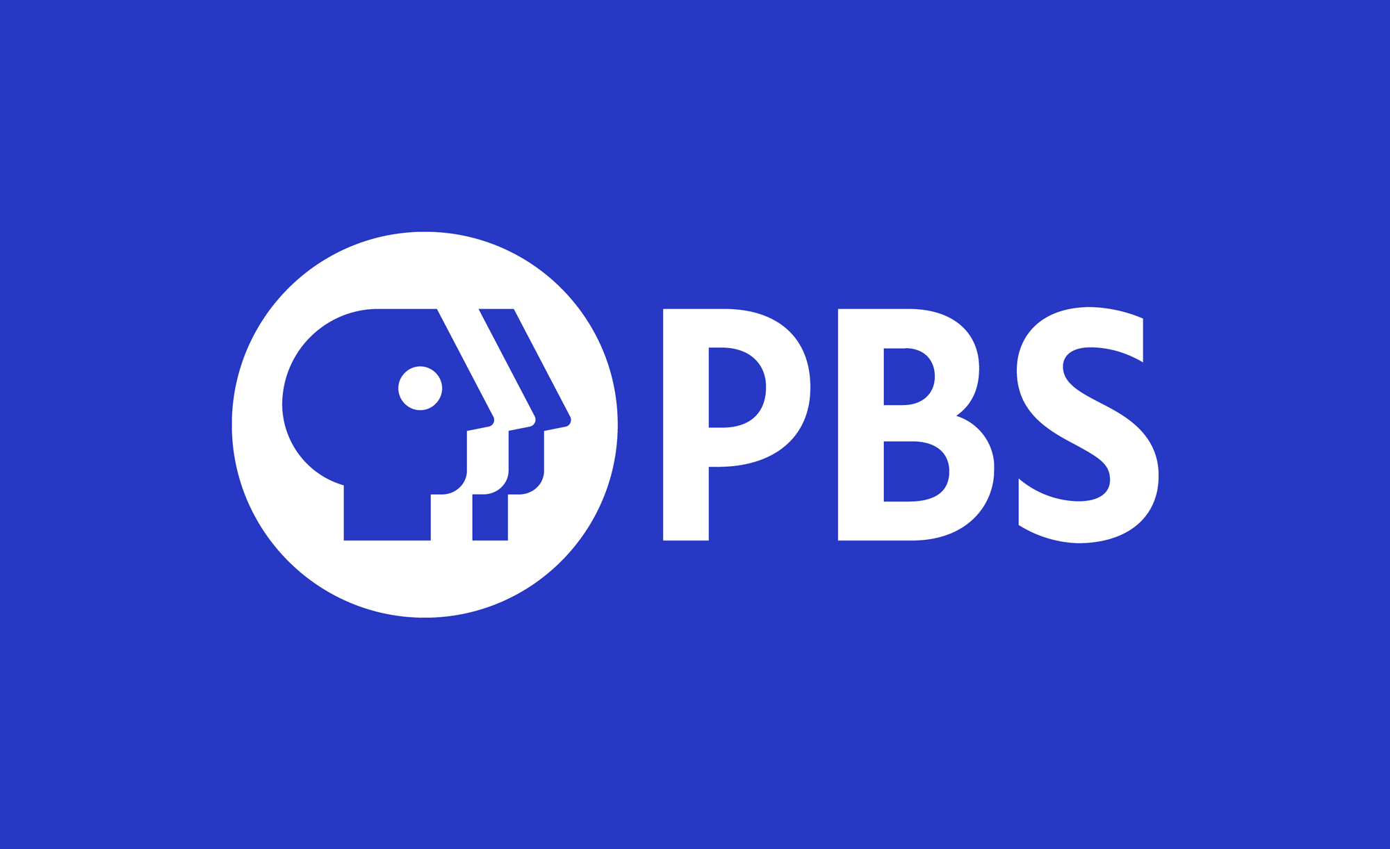 Brand New: New Logo for PBS by Lippincott