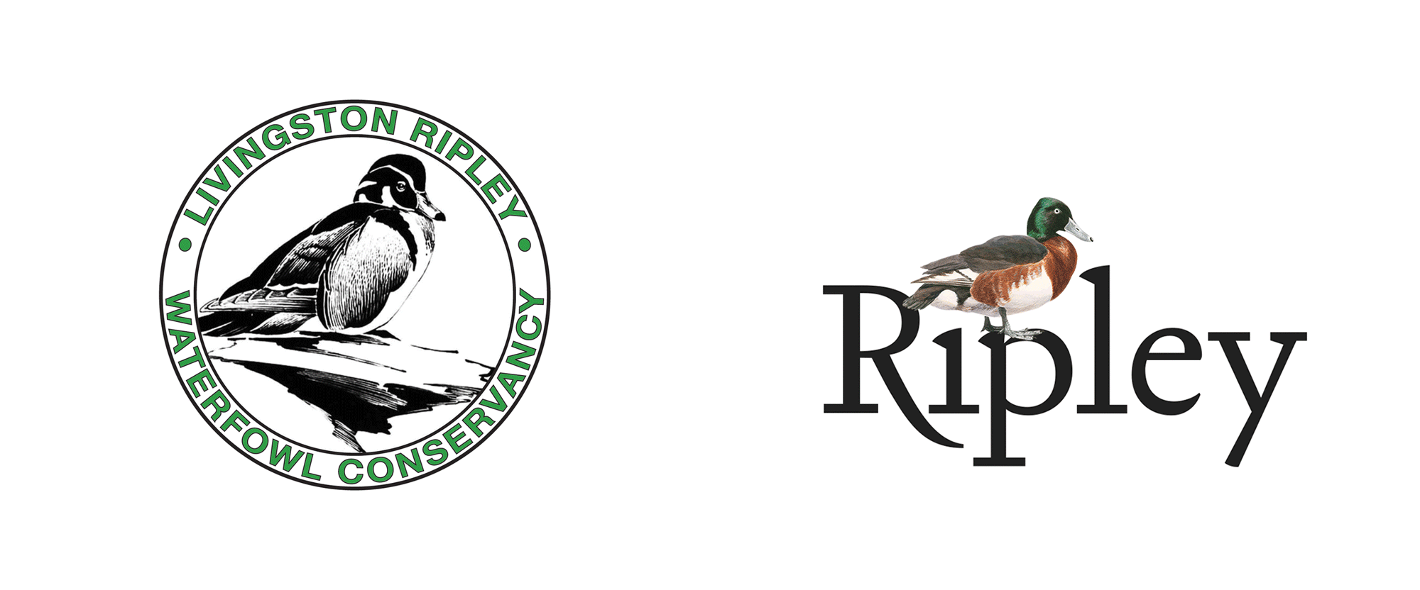 New Logo for Ripley Waterfowl Conservancy by Alexander Isley Inc.