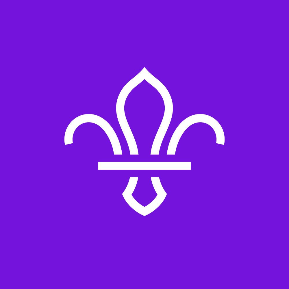 New Logo and Identity for The Scouts Association by NotOnSunday