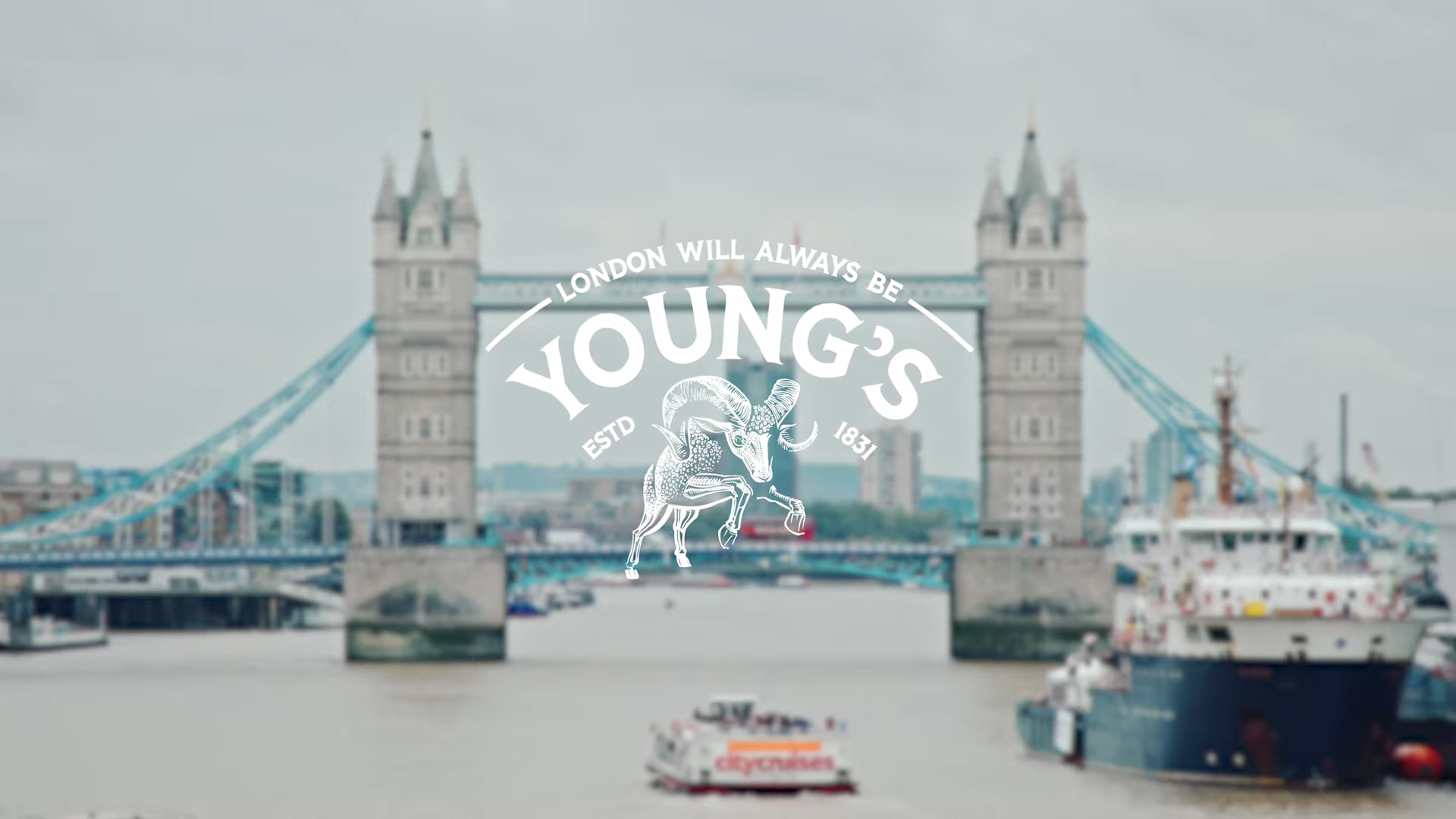 New Logo and Packaging for Young's by Kingdom & Sparrow