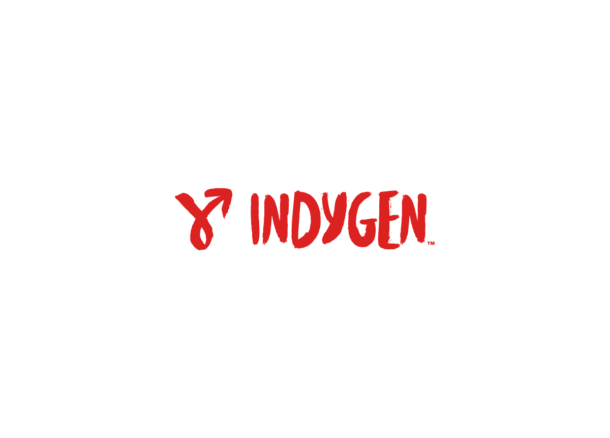 Indygen by Brandient