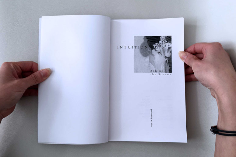 Intuition: Behind the Scenes Book