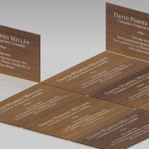 David P&agrave;mies Mill&aacute;n Business Card