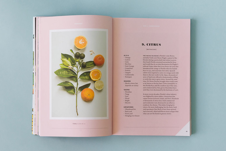 Forager, A Subjective Guide To Miami's Edible Plants