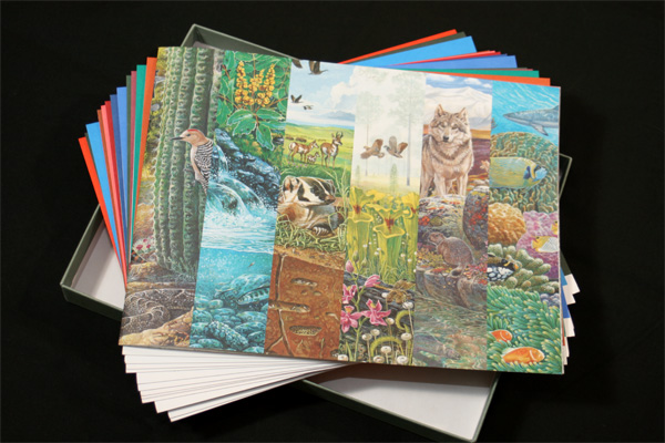 Nature of America Stamp Series Limited Edition Collector's Set