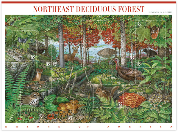 Nature of America Stamp Series Limited Edition Collector's Set