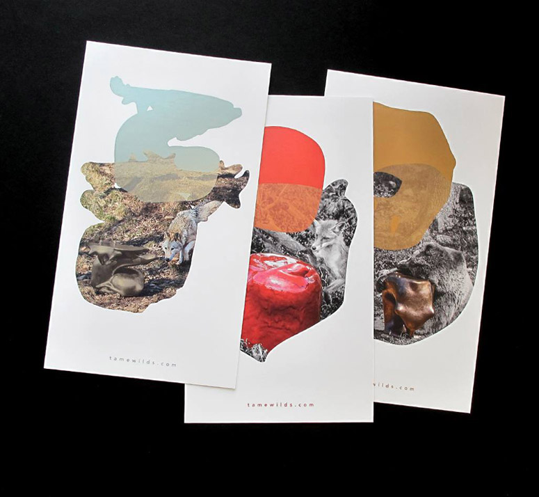 Tame Collection Flyers and Business Cards