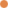 Color Code: Orange